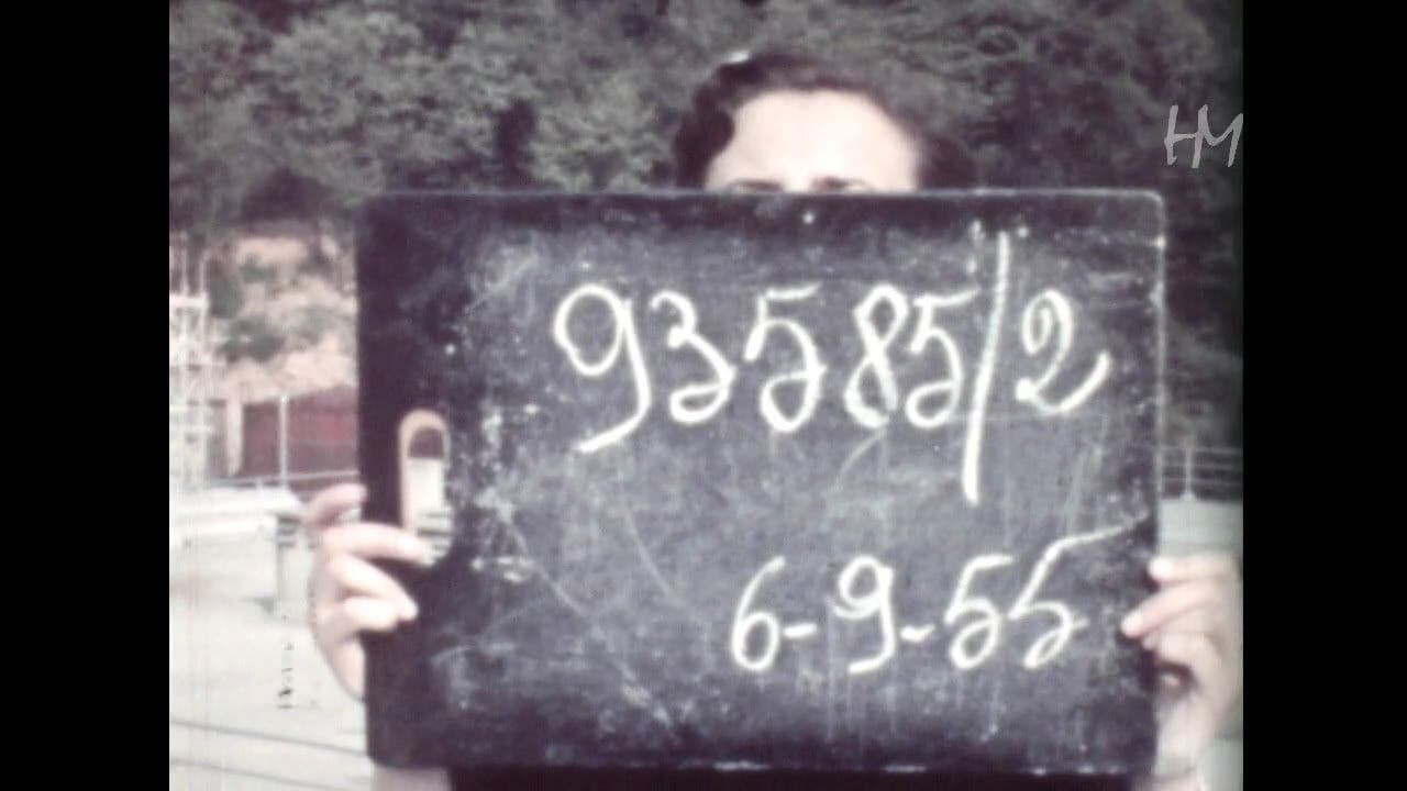 Modelle prove colore