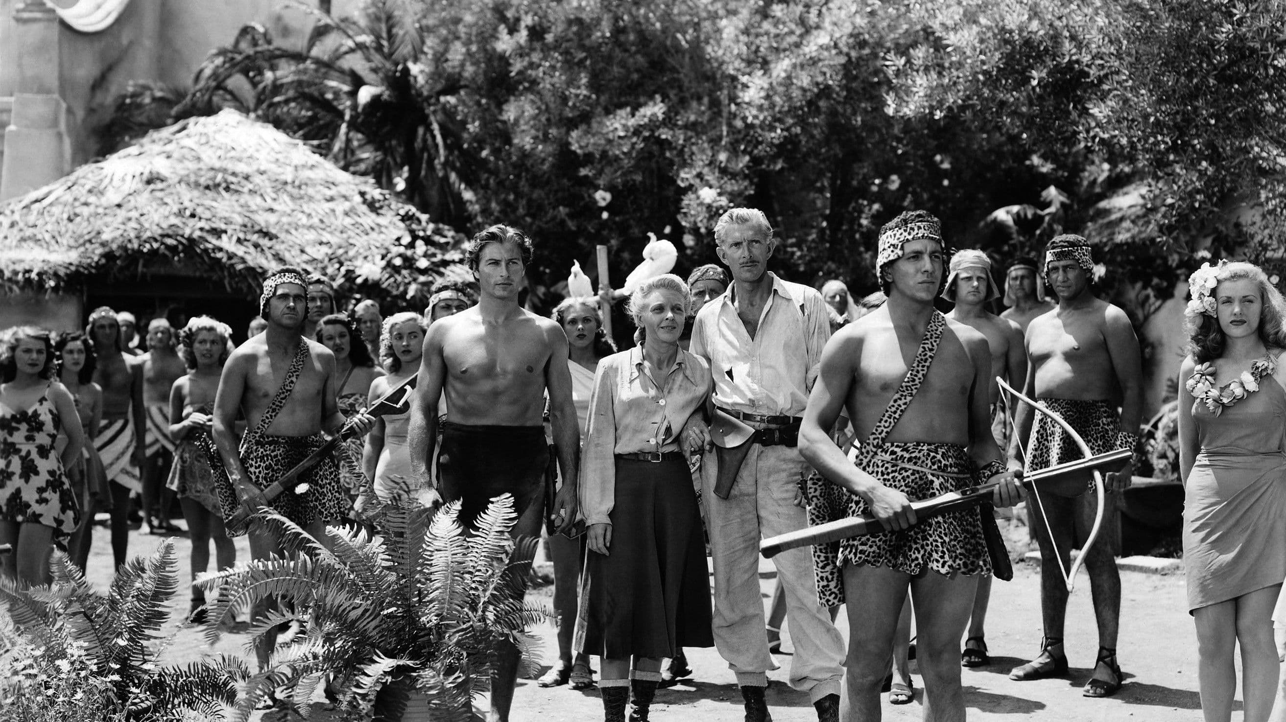 Tarzan (Lex Barker) Collection