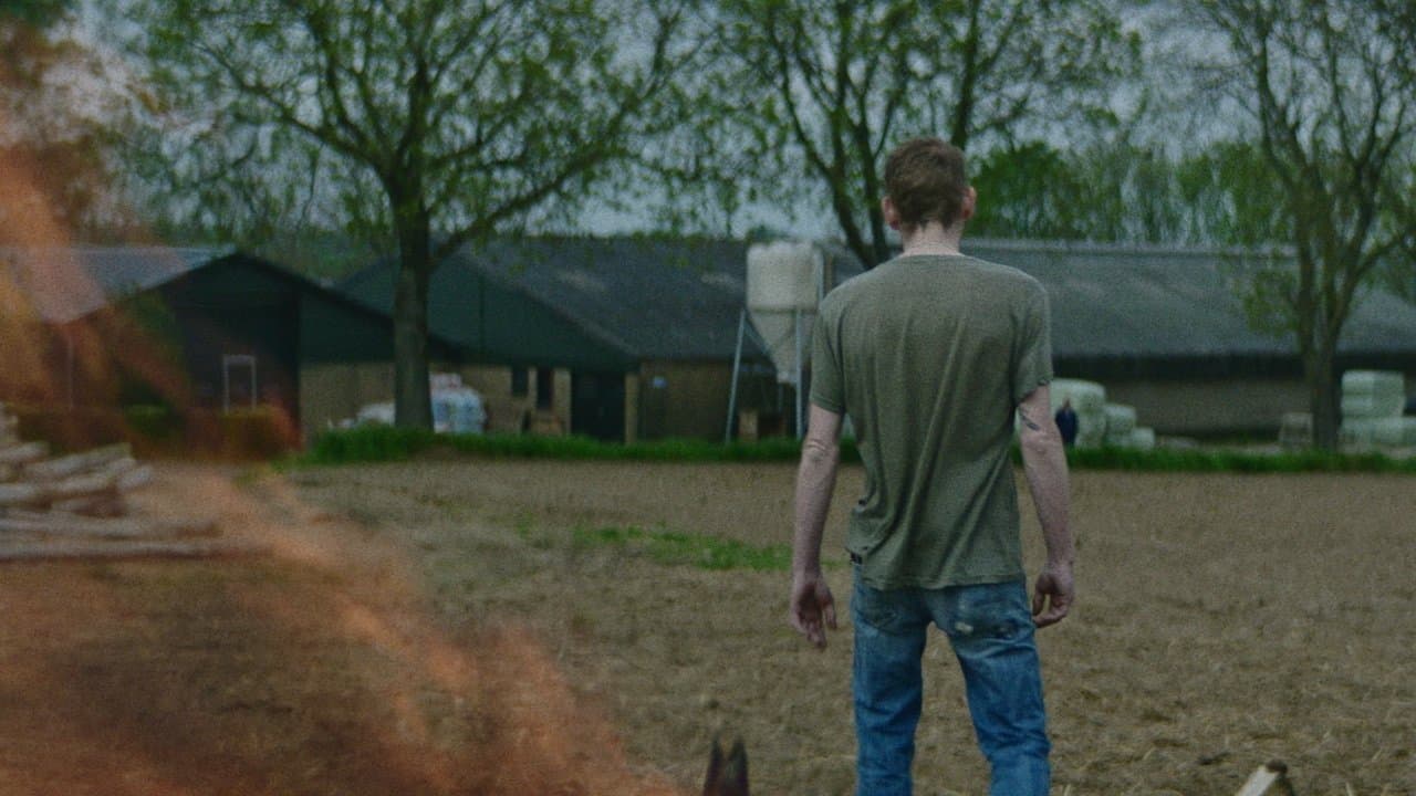 Your Beautiful Rubber Brain