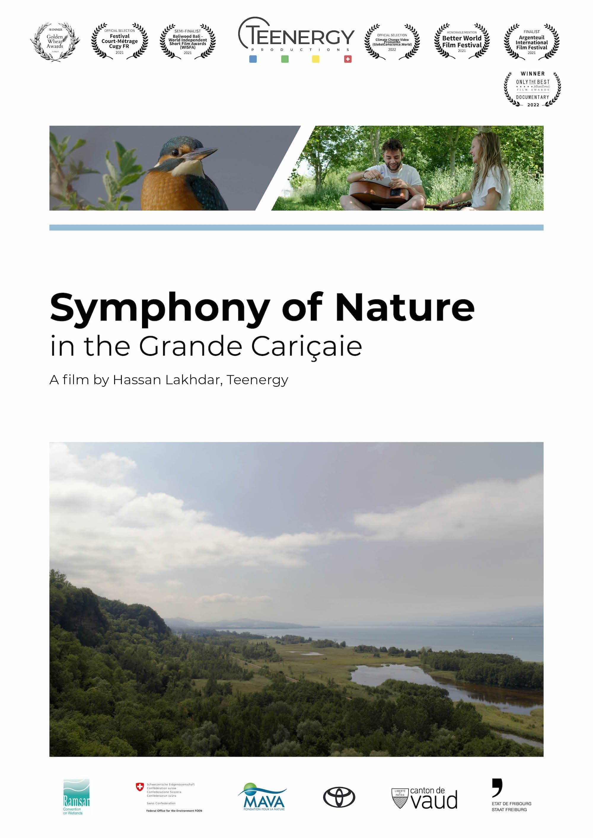 Symphonie de la nature dans la Grande Cariçaie