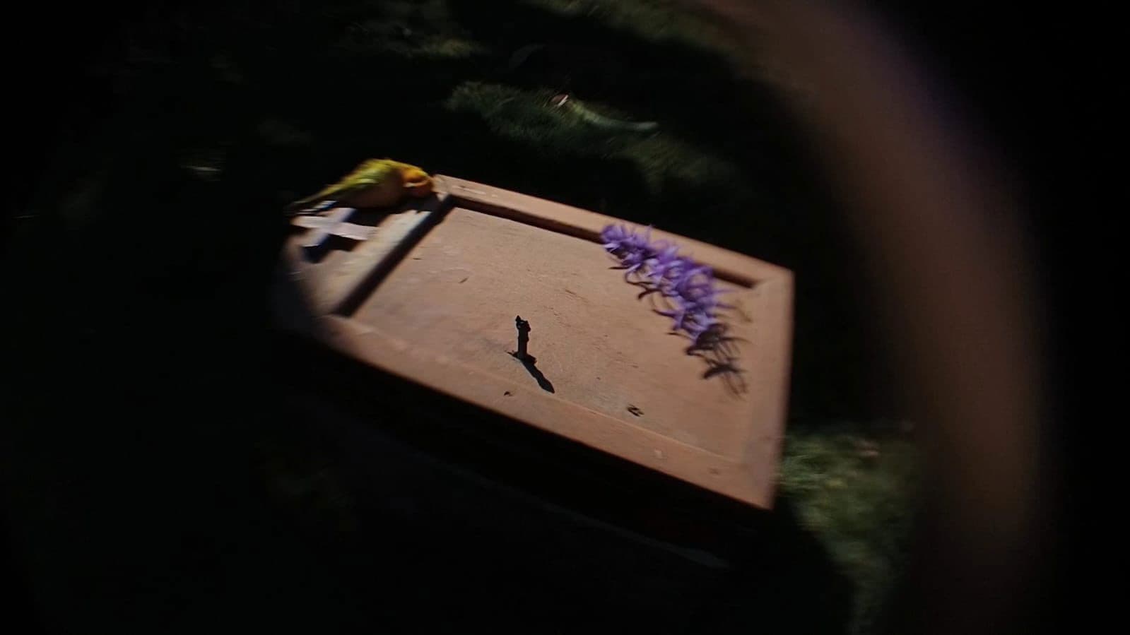 Todas as Cores da Vida e da Morte