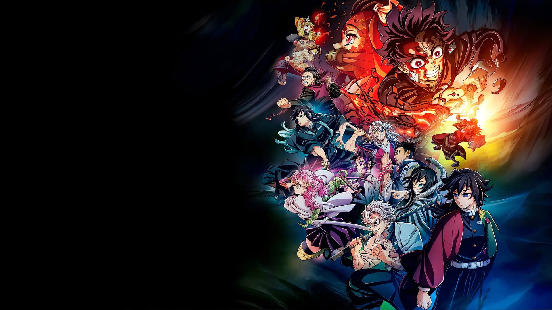 Demon Slayer: Kimetsu no Yaiba Collection