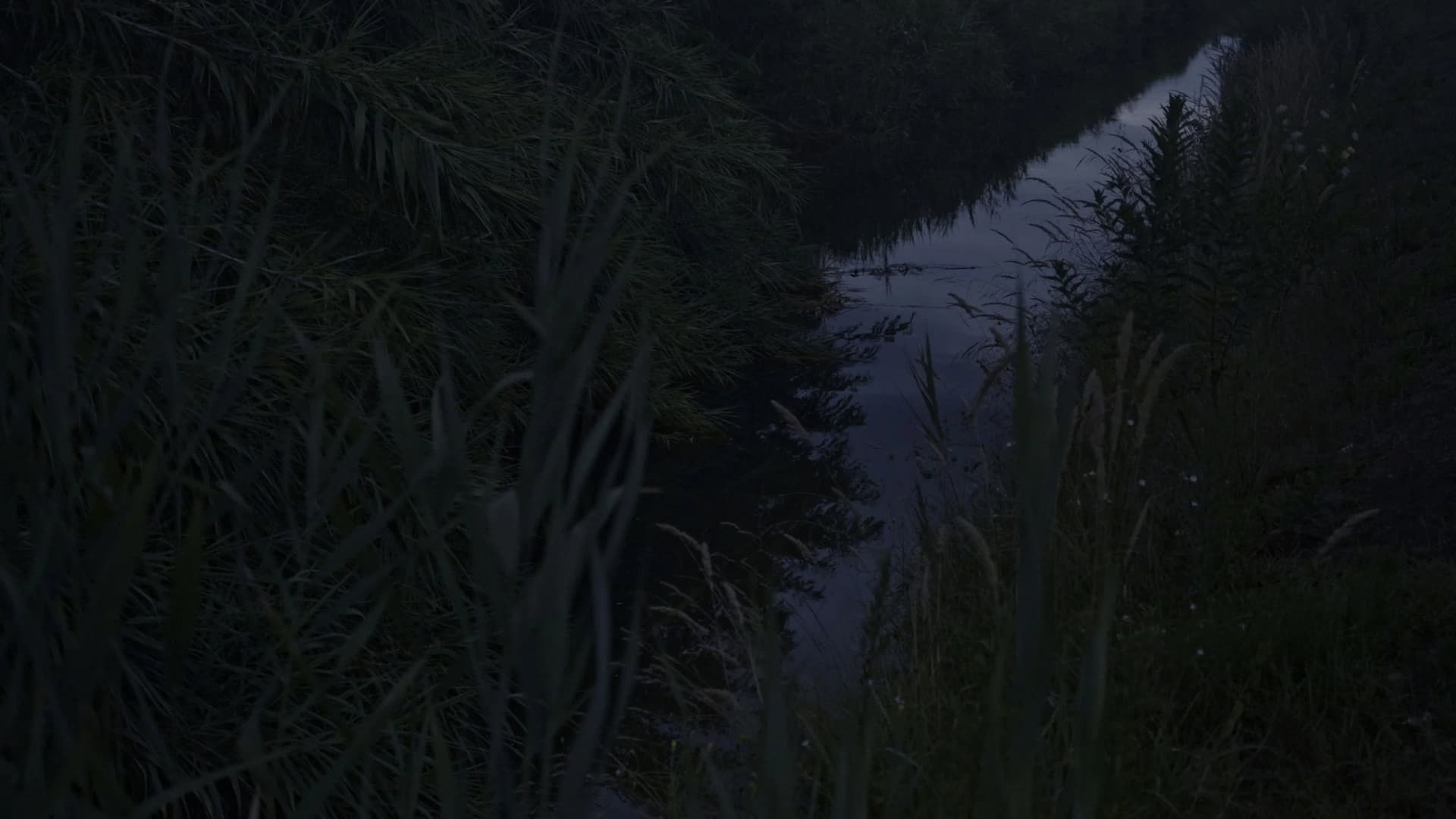 Foam of Worlds