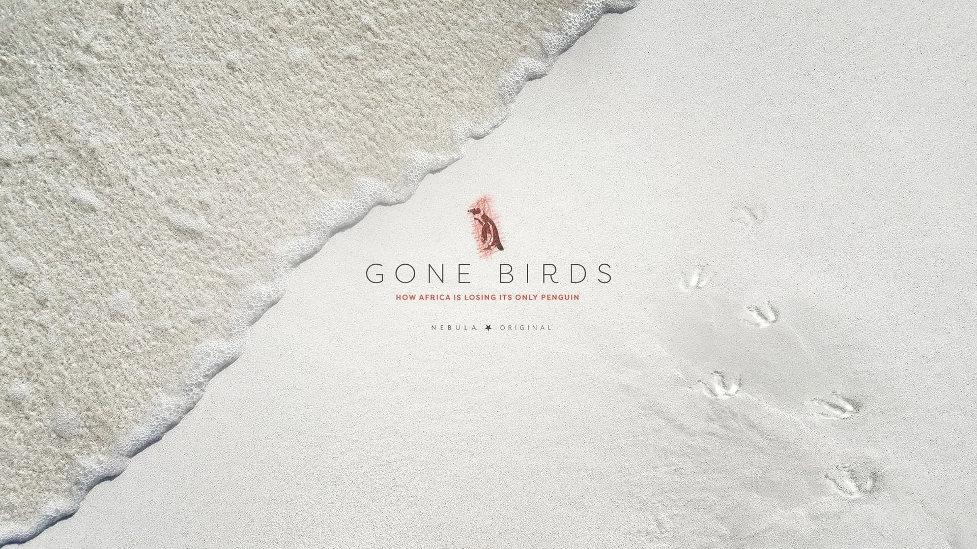 Gone Birds