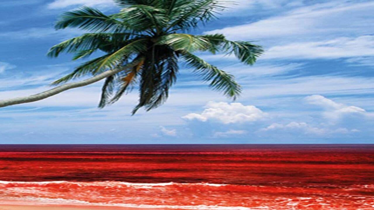 Sri Lanka's Killing Fields