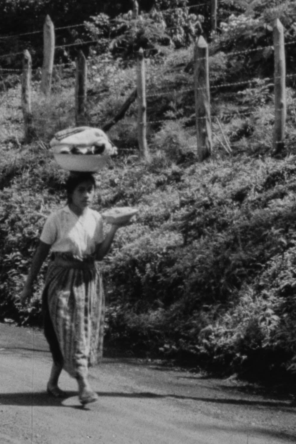 My Country Occupied (Newsreel #151)