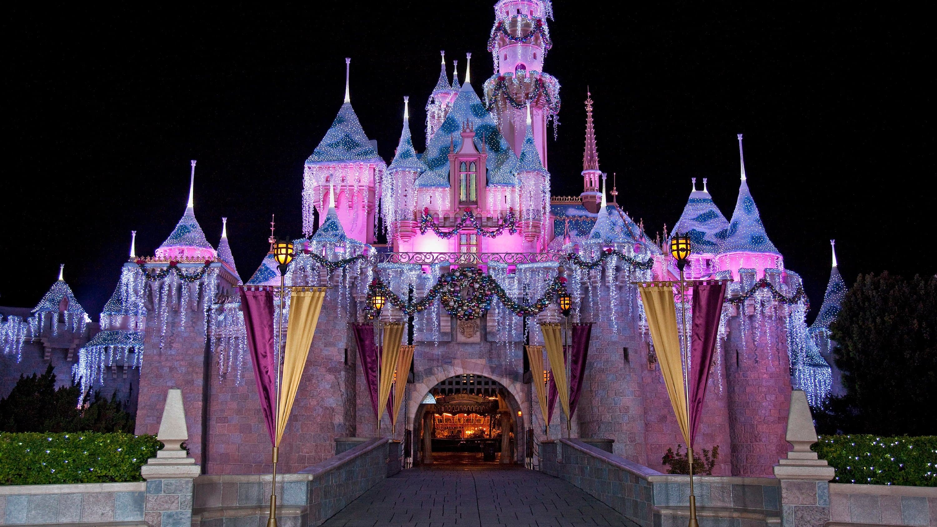 The Wonderful World of Disney: Magical Holiday Celebration