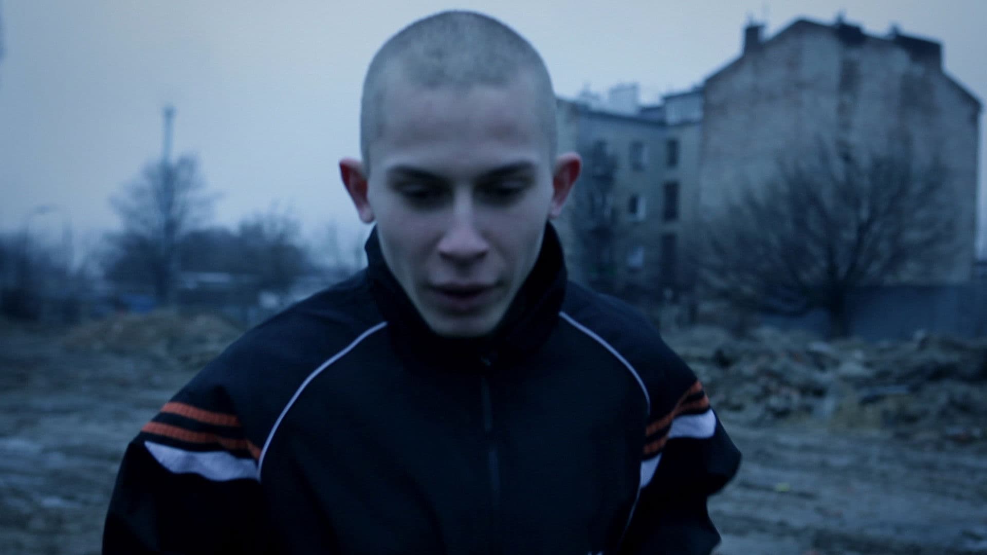 A Dream in the Making