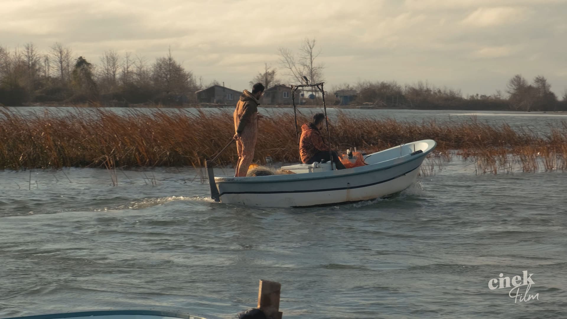 Cıva Burnu "Turkuaz"