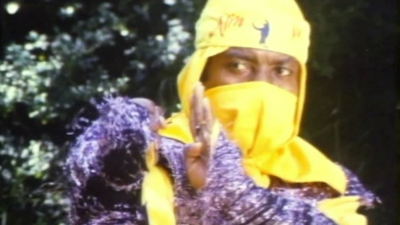 Ninja Operation - Knight and Warrior