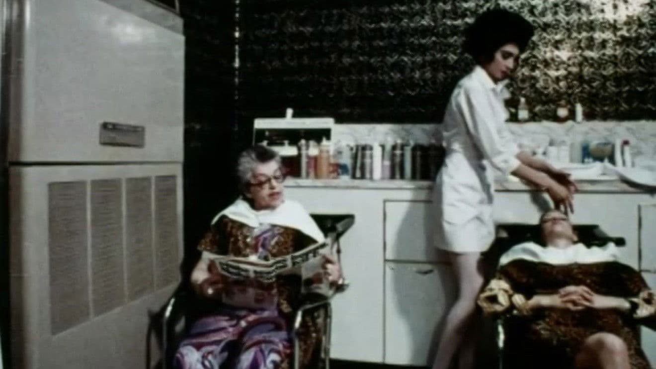 While the Cat's Away...