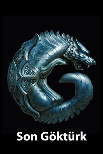 The Last Gokturk