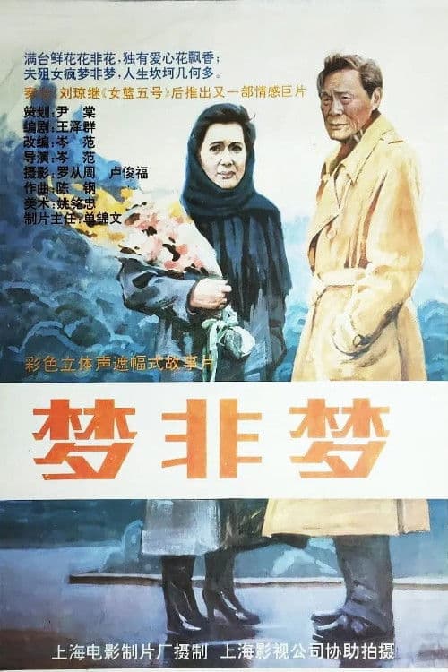 梦非梦 poster