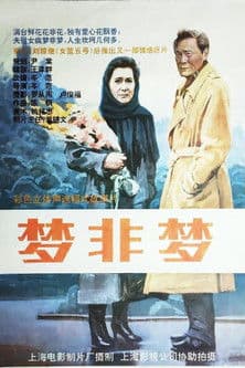 梦非梦 poster