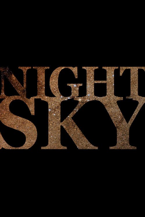 Night Sky poster