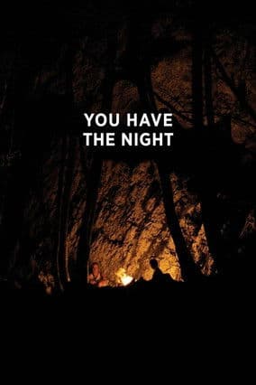 You Have the Night poster