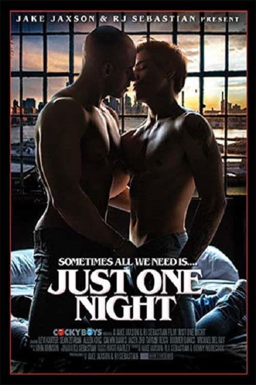 Just One Night poster