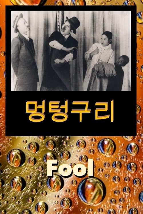 Fool poster