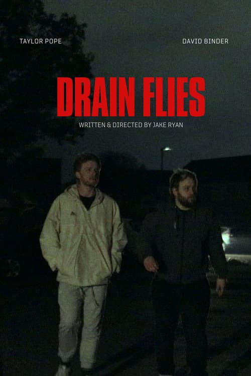 Drain Flies poster