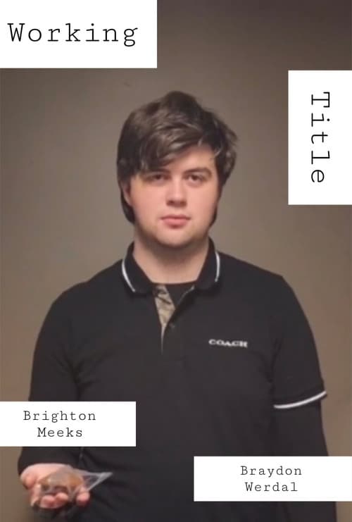 Working Title poster