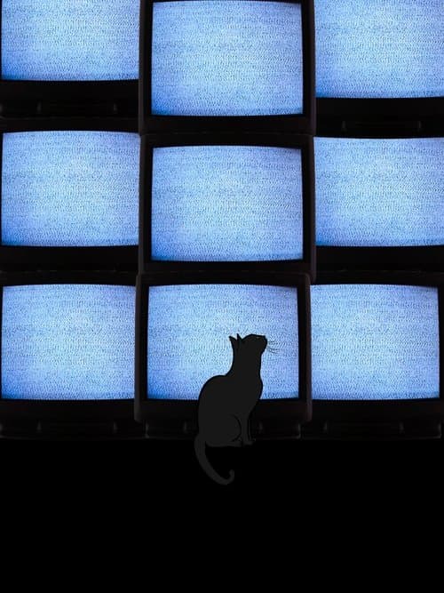 The Coolest Guy In School poster