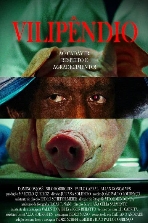 Vilipêndio poster