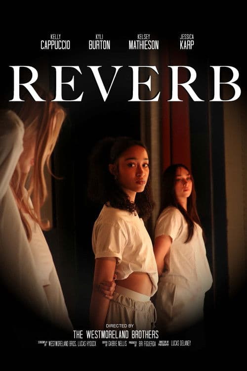 Reverb poster