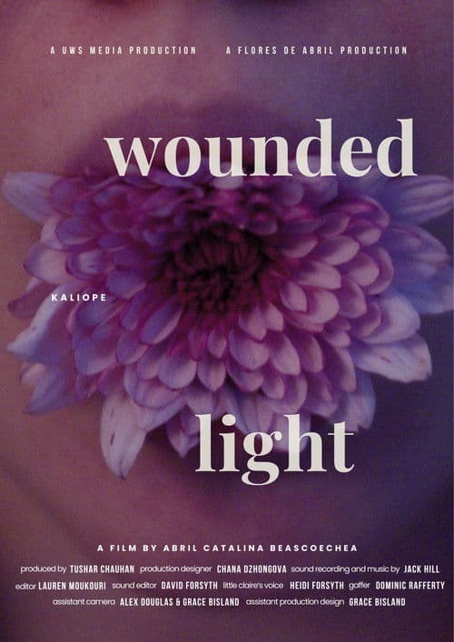 Wounded Light poster