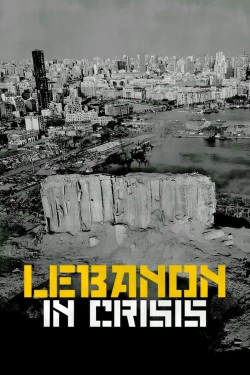 Lebanon in Crisis poster