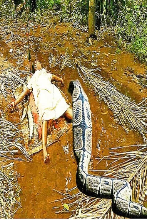 Black Forest 2 poster