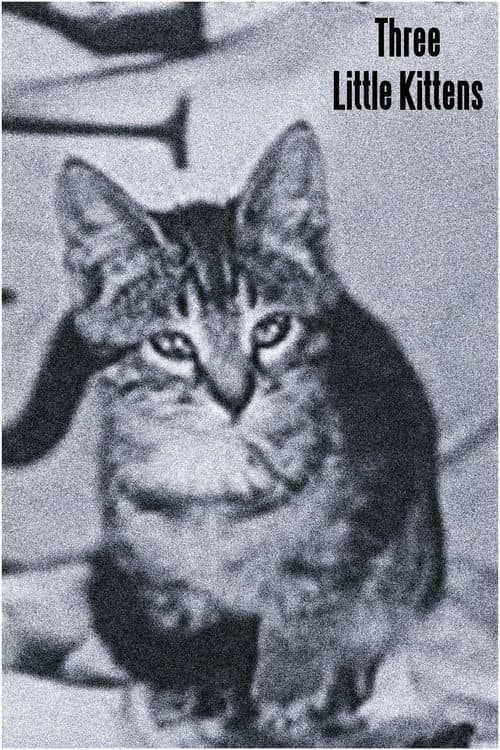 Three Little Kittens poster