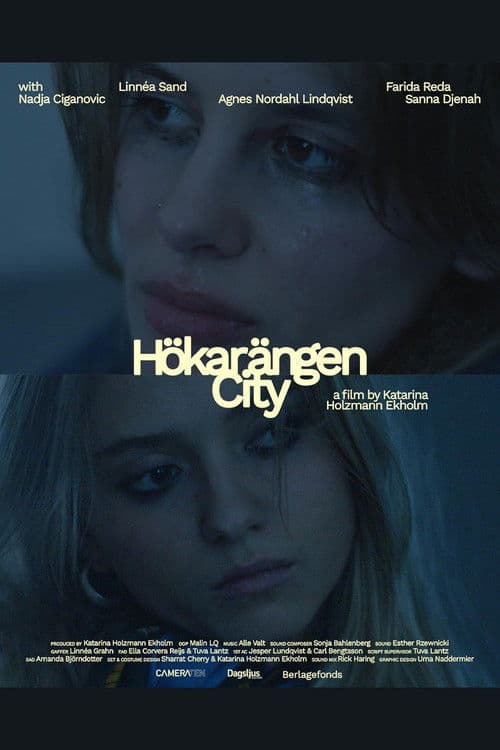 Hökarängen City poster