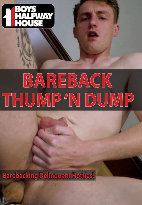 Bareback Thump N' Dump poster
