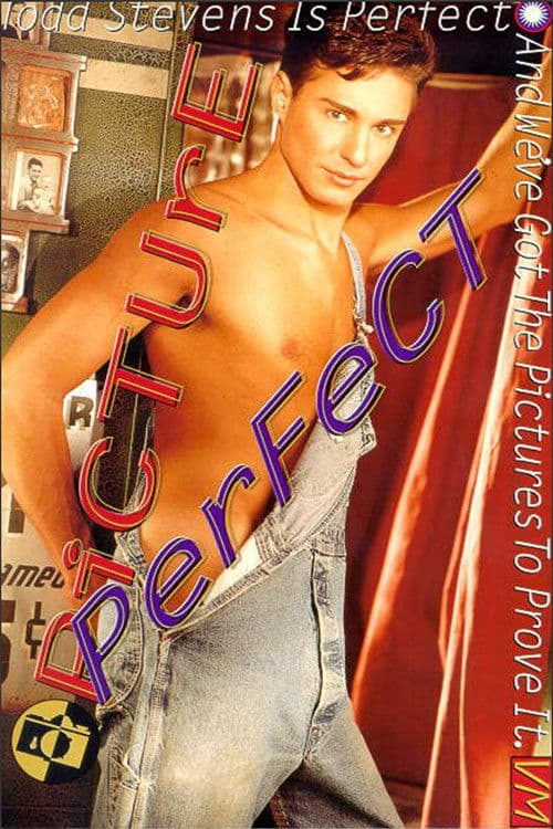 Picture Perfect poster