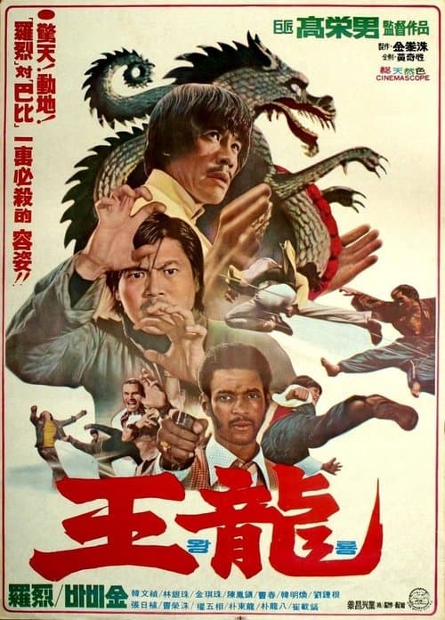 Deadly Kick poster