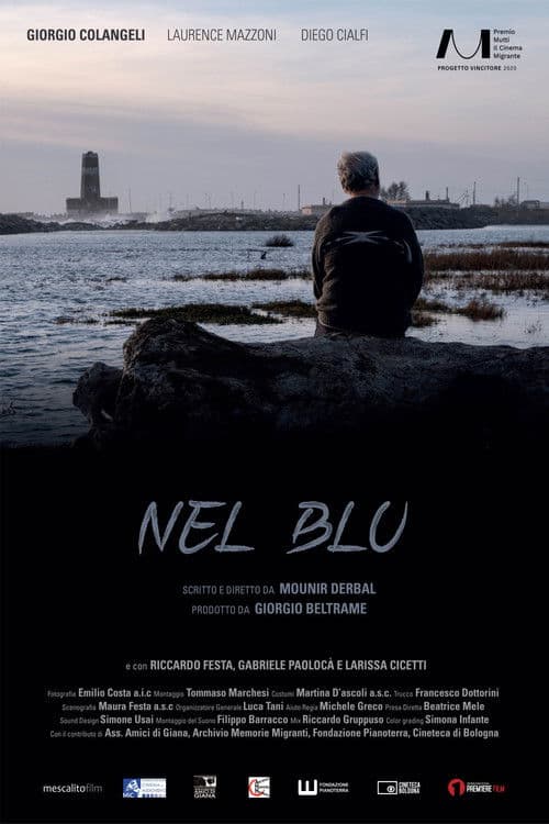 Nel Blu poster