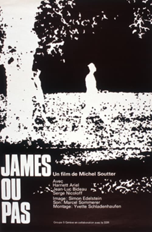 James or Not poster