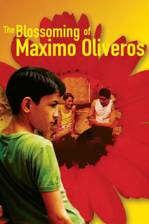 The Blossoming of Maximo Oliveros poster