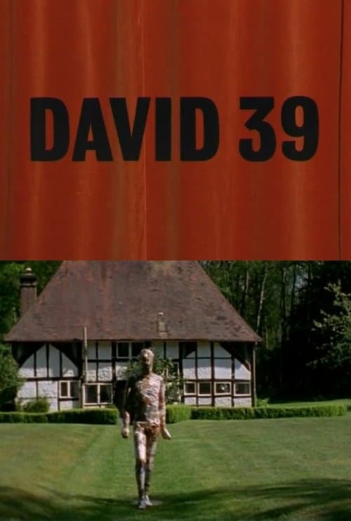 David 39 poster