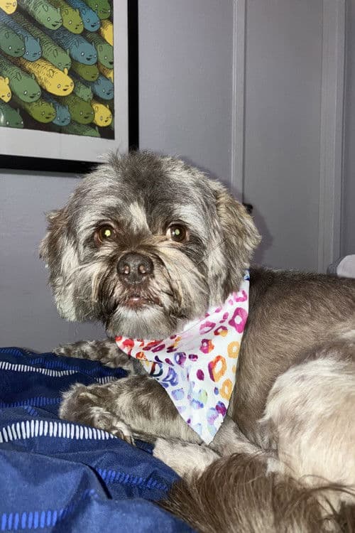 Cooper profile photo