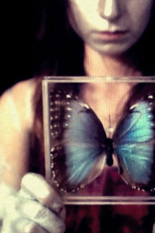 Kosmische Puppen 3 poster