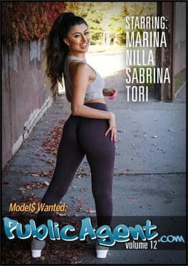 Public Agent 12 poster