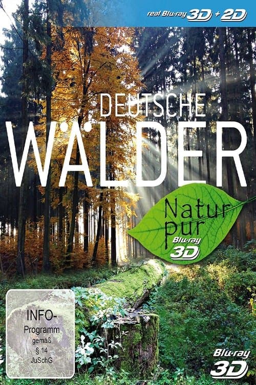 Natur pur - Deutsche Wälder