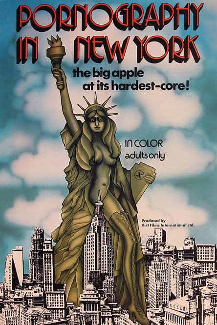 Pornography in New York poster