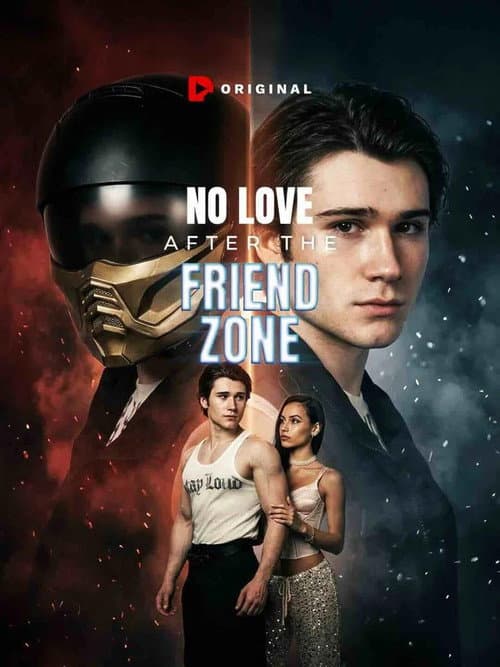 No Love After the Friend Zone poster