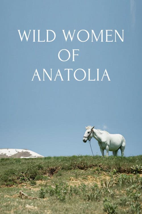 Wild Women of Anatolia poster