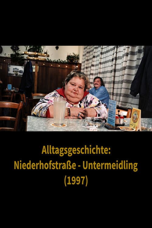 Alltagsgeschichte – Niederhofstraße Untermeidling poster
