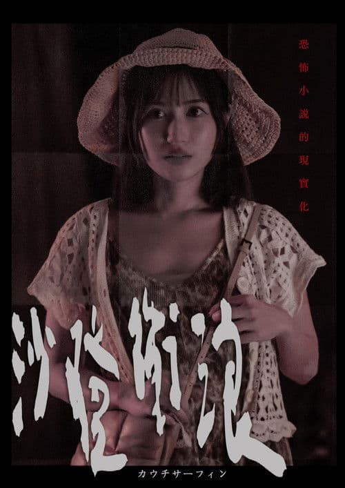 Couch Surfing poster