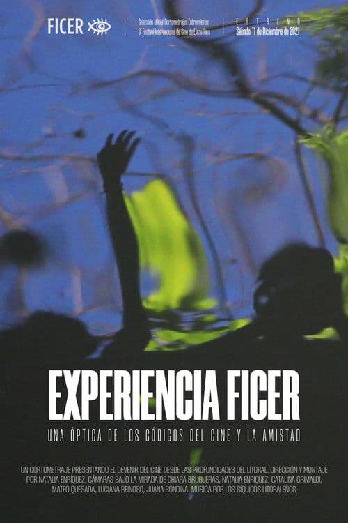 Experiencia FICER poster