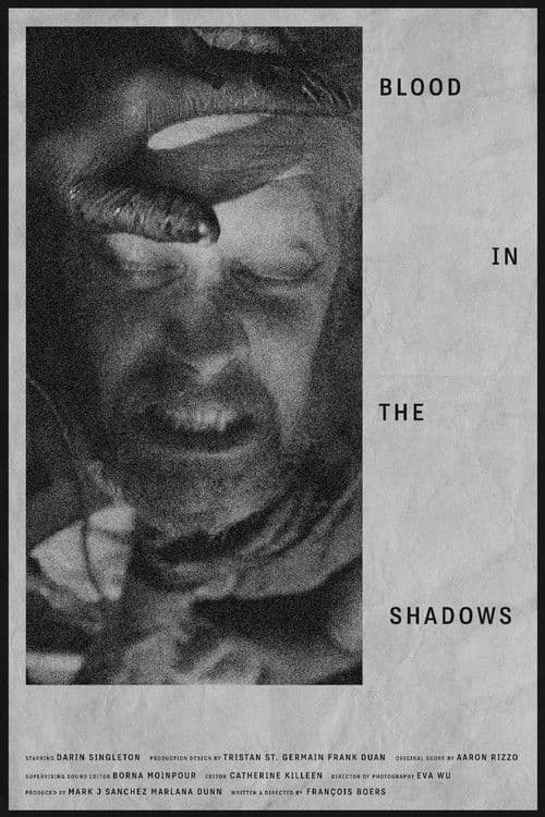 Blood in the Shadows poster